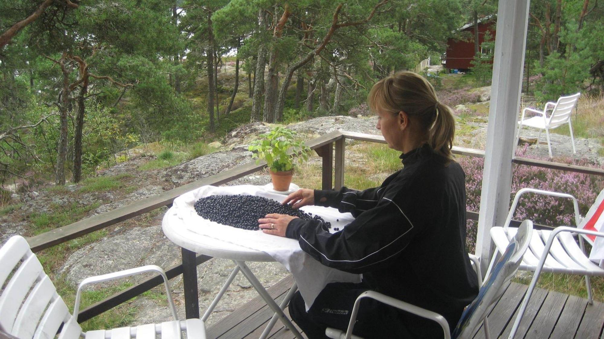 Hotel Rolfskaerrs Stugby à Nygård Extérieur photo
